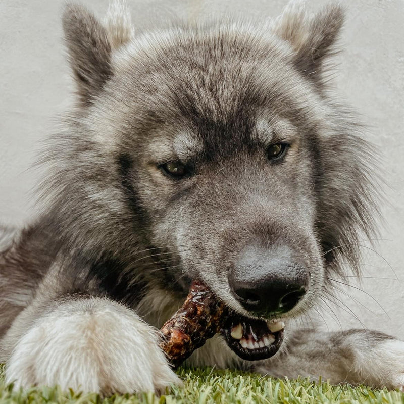 NATURAL SINGLE CHEWS