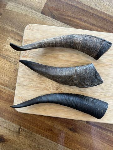 Goat Horn (with Marrow)