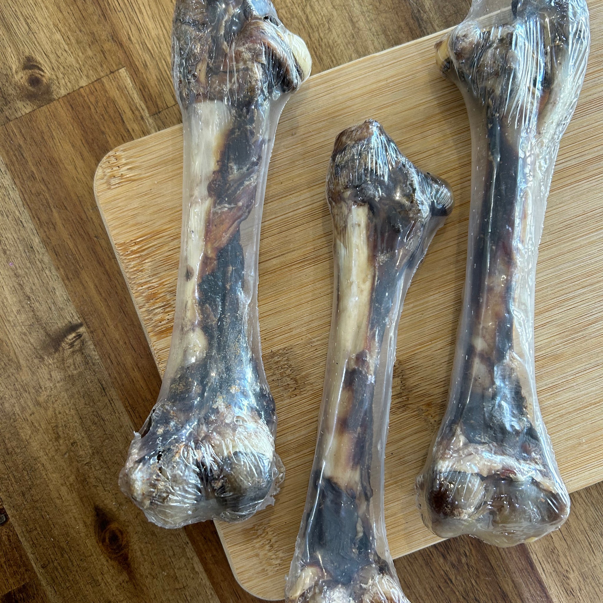 Roo Femur Bone