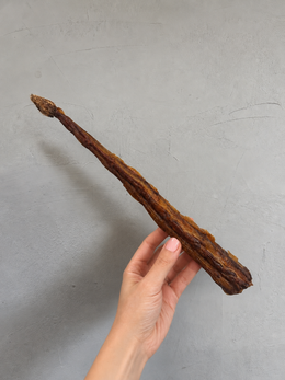 Kangaroo Tail Tip