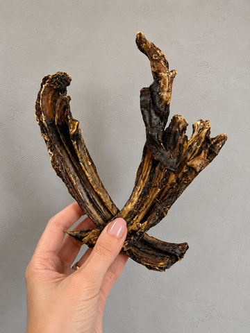 Kangaroo Rib