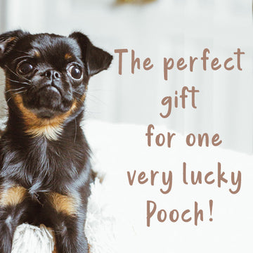 The Bark Bakery Gift Card